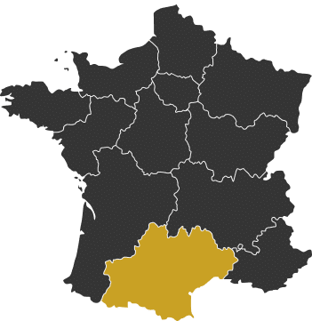 Carte des Régions de France : Zoom sur l'Occitanie Carte de France avec la région Occitanie en jaune, drapeau tricolore et texte France.